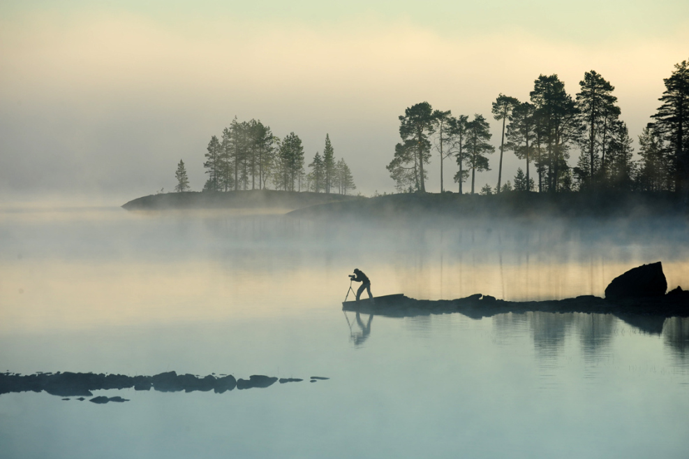 Дикая природа