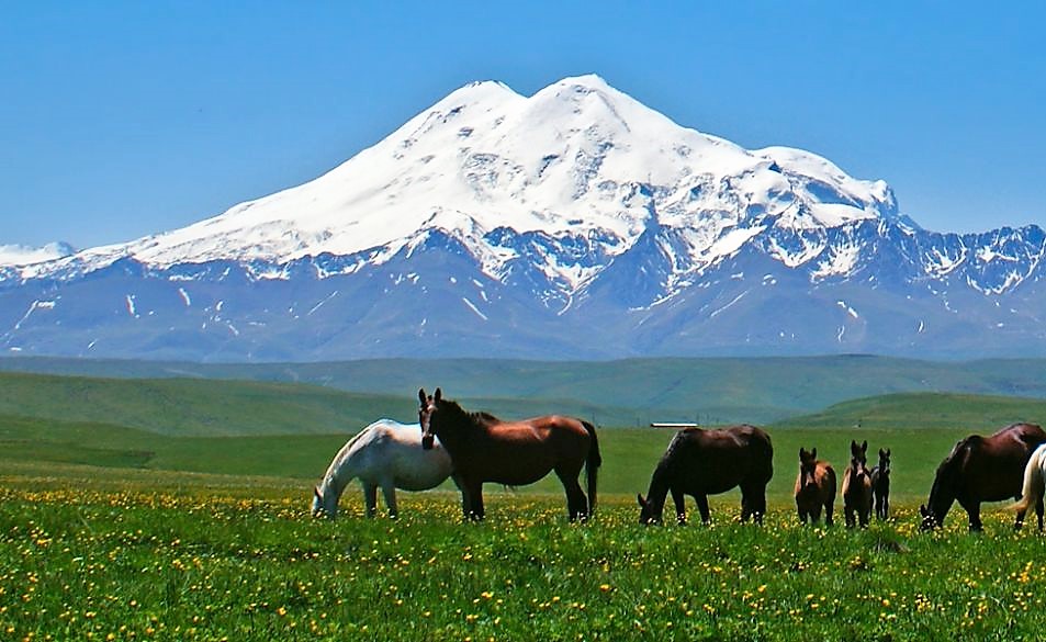 Кавказский заповедник